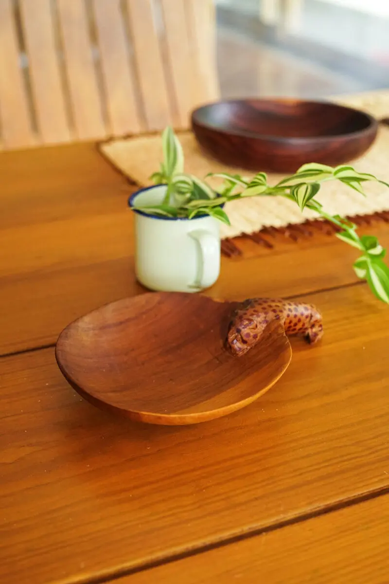 Small cheetah bowl