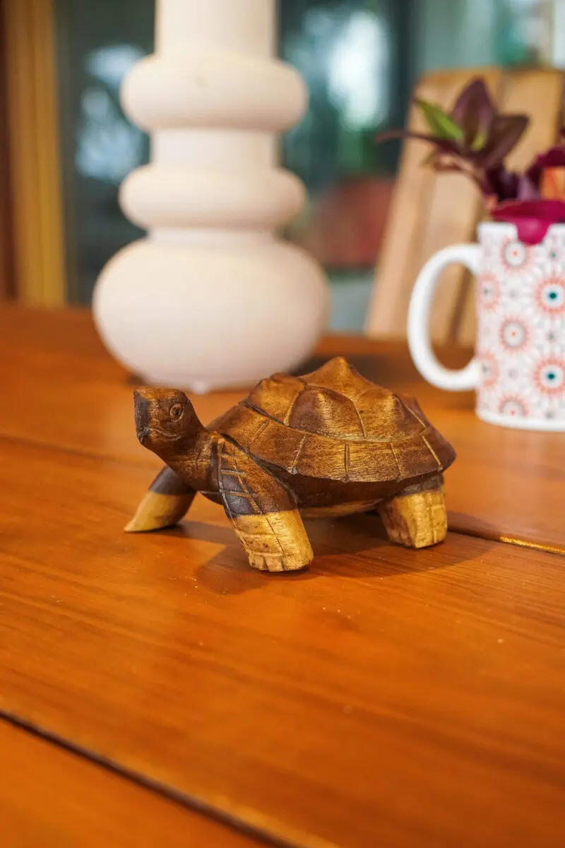 Little turtle