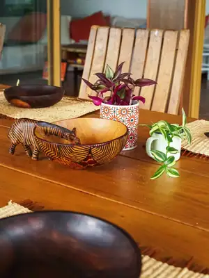 Zebra bowl