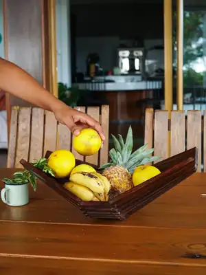Fold-out trash can