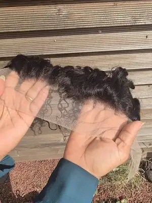 Italian Wave Lace Front 3