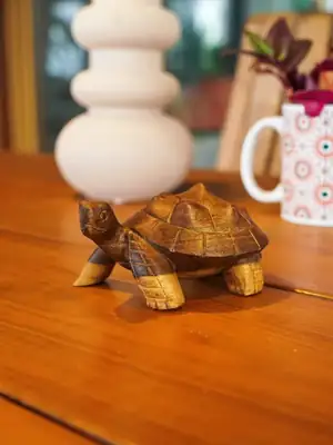 Little turtle