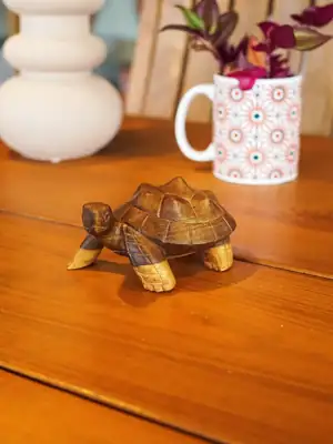 Little turtle 3