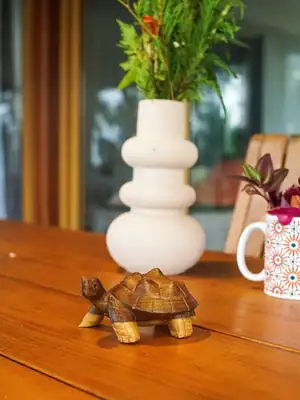 Little turtle 5