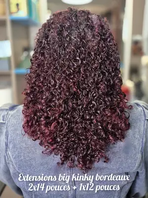 Big Kinky Burgundy Weave