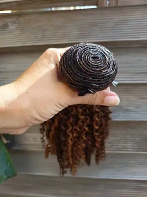 Kinky Curly Honey Weave 3