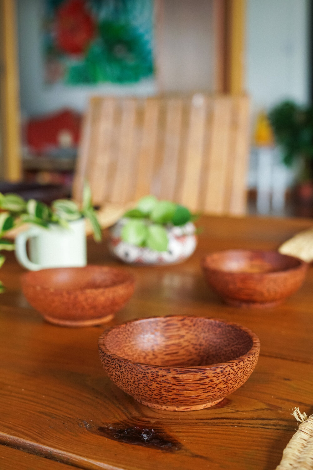 Mini coconut bowl