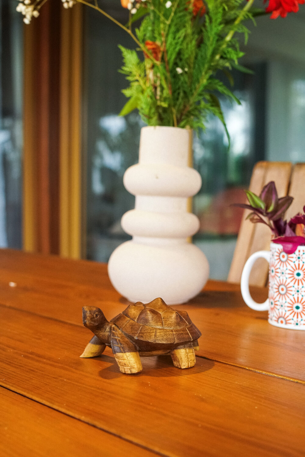 Petite tortue – Image 3