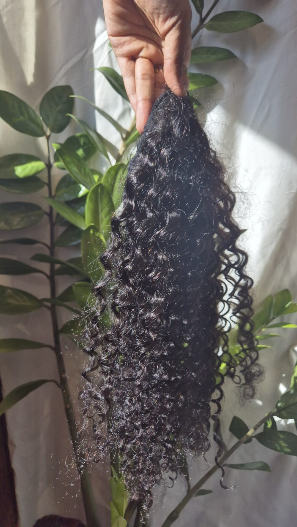 Queue de cheval Deep curl – Image 2